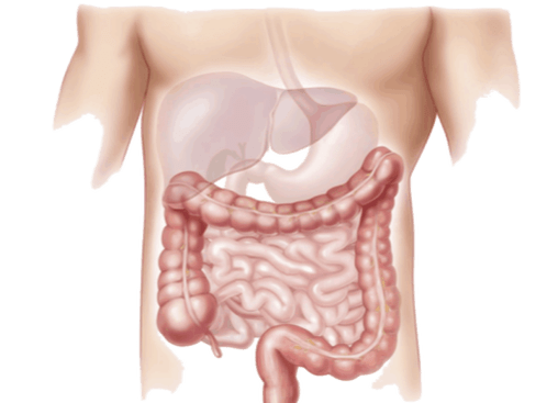 Gastroenterology