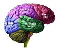Brain Based Therapy Missouri