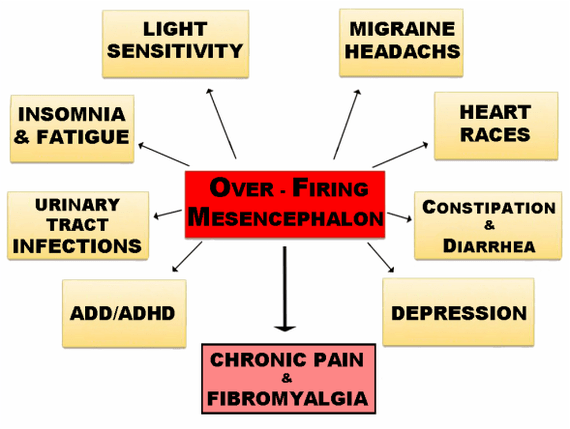 Brain Based Therapy Missouri