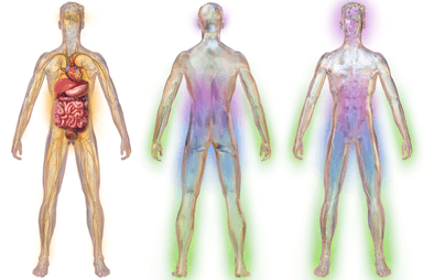 Neuropathy Adrenals