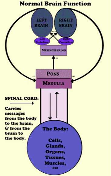 Brain Based Therapy Missouri