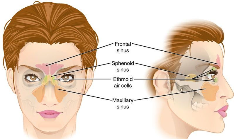 chronic sinus congestion