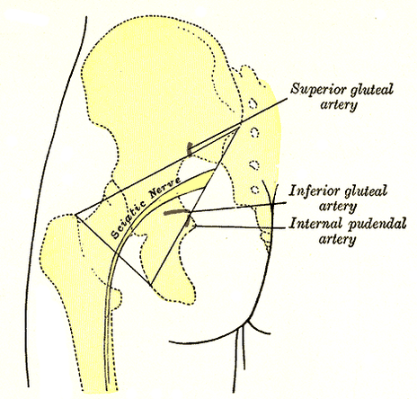 Piriformis Syndrome