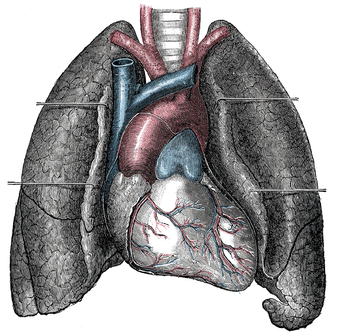 aspirin heart attack