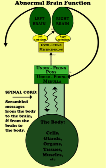 Brain Based Therapy Missouri