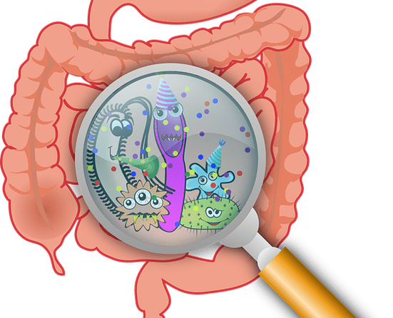 Microbiome Flu Bacteria