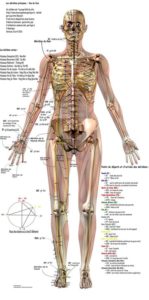 Wondering About Dry Needling for Chronic Trigger Points and Chronic Pain?