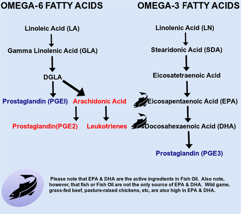 Fatty Acid Metabolism and Inflammation