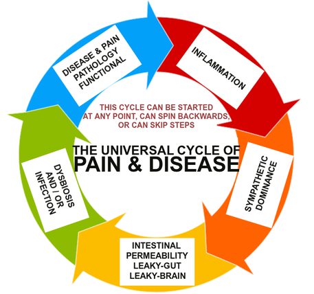 THE GUT-MICROBIOTA-BRAIN AXIS